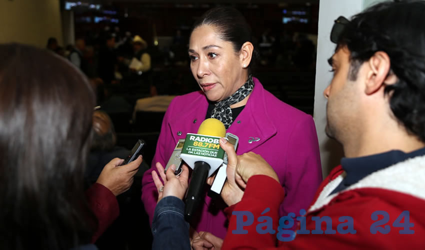 María del Carmen Mayela Macías Alvarado, legisladora local (Foto: Eddylberto Luévano Santillán)