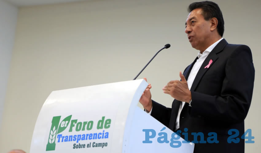El elevado precio del aguacate se da “siempre” en estas épocas del año, debido a la carestía, justificó el presidente de la Asociación Mexicana de Secretarios de Desarrollo Agropecuario/Foto: Cortesía