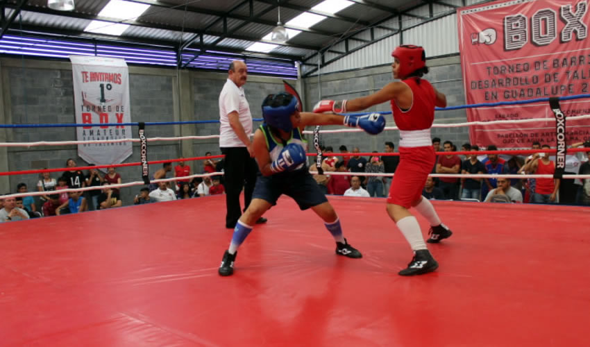 El Director General del Instituto de Cultura Física y Deporte del Estado de Zacatecas (Incufidez), Adolfo Márquez Vera, así lo presentó en el Plan Estratégico y los resultados han sido relevantes en las disciplinas de baloncesto, boxeo, béisbol y voleibol