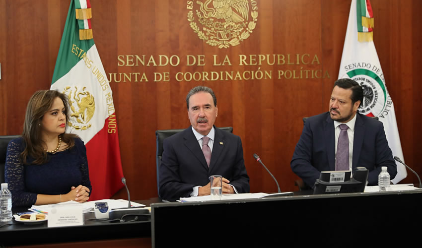 Emilio Gamboa Patrón, coordinador de la fracción parlamentaria del PRI en el Senado de la República