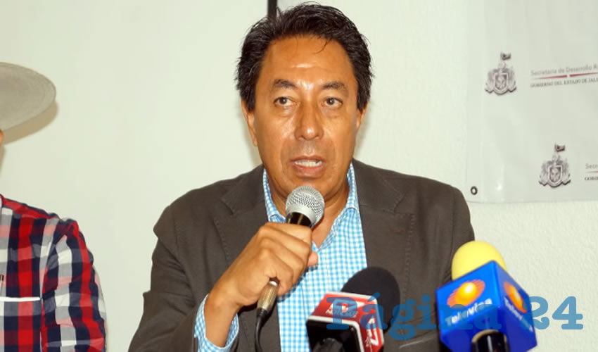 Incluso Héctor Padilla Gutiérrez, presidente de la AMSDA, aseguró que en este año los ingresos promedio de los productores aumentaron 12.3 por ciento en términos reales, respecto al último año del sexenio anterior, lo cual, dijo, es “un logro”/Foto: Cortesía
