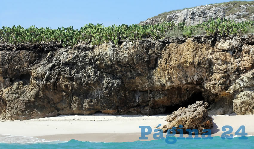 Los investigadores deben de monitorear y dar seguimiento al Parque Nacional Islas Marietas, a fin de asegurarse de que los corales permanezcan en las condiciones adecuadas o intervenirlos en caso de que se presente algún otro fenómeno natural que los dañe/Foto: Cortesía