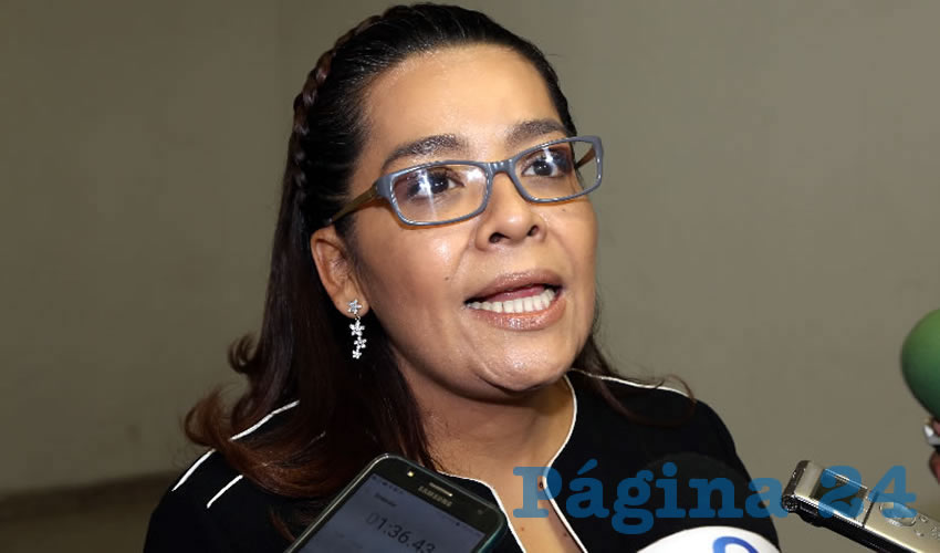 Elsa Amabel Landín Olivares, diputada local