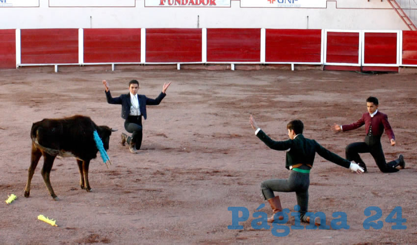 Se realizará una Gran Tienta Pública y el Gran Festival Taurino en la Plaza de Toros San Marcos, con la participación de talentosos alumnos