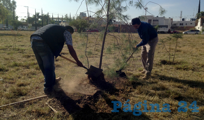 Las jornadas de plantación son indispensables y necesarias para la regeneración de las zonas urbanas