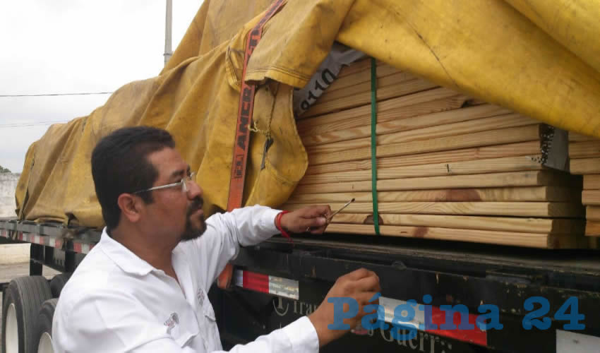 Durante la inspección, el personal de la Profepa detuvo el embarque de madera y realizó la colecta de muestras de insectos