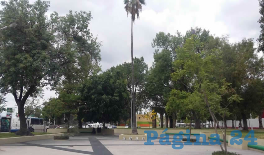 Justo a un lado de una estación de la CFE, en Plaza de la Bandera, tres personas, entre ellas un menor de edad, se instalaron en Plaza de la Bandera; además de colocar una casa de campaña pusieron incluso un columpio con una llanta y una soga/Fotos: Francisco Tapia