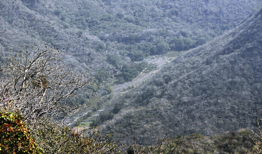 El área natural de la barranca de Huentitán/Foto: Archivo Pagina 24