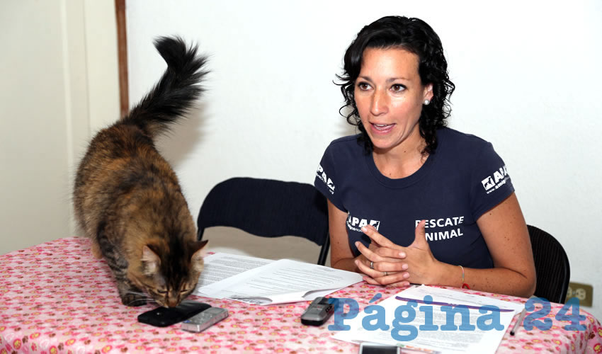 Ana Zavala Enr&iacute;quez, presidenta de Amigos Pro Animal (Foto: Archivo)