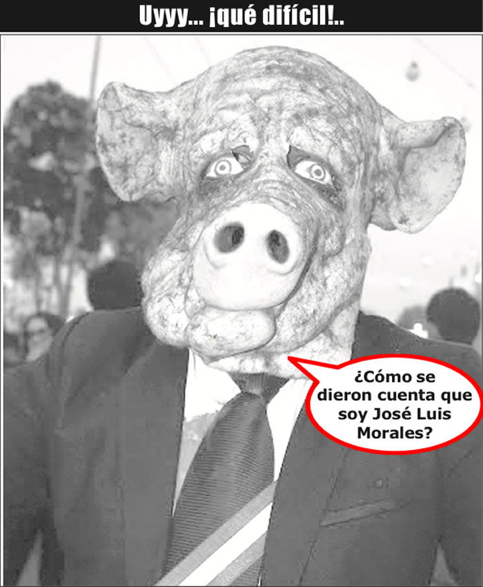 (Foto: Archivo/P&aacute;gina 24)