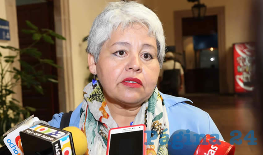 Mar&iacute;a Guadalupe Castorena Esparza, presidenta de Movimiento Ambiental de Aguascalientes (Foto: Archivo)