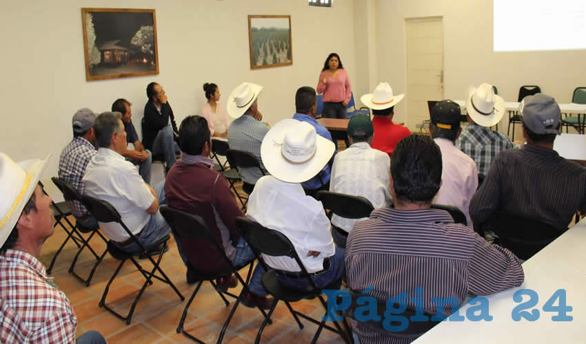 Los recursos ser&aacute;n destinados a los municipios de Aguascalientes, Calvillo, San Jos&eacute; de Gracia, El Llano y Rinc&oacute;n de Romos 