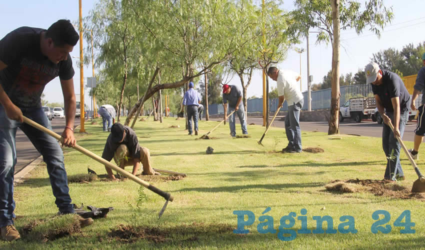 Decenas de ciudadanos se unieron a los trabajadores de Parques y Jardines para realizar esta labor en el norte de la ciudad