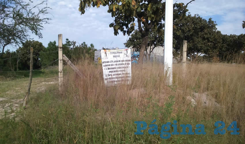 Justo en el borde del área natural protegida del bosque Nixticuil, la empresa GIG ha cortado al 200 árboles para dar paso a una avenida de seis carriles, denunciaron integrantes del Comité Salvabosque, quienes sentenciaron que si entra maquinaria, ellos defenderán con todo el área verde, para impedir el irregular proyecto/Fotos: Archivo Página 24