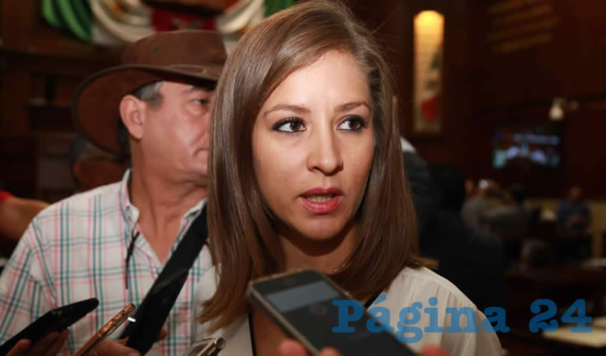 Anayeli Muñoz Moreno, legisladora local (Foto: Eddylberto Luévano Santillán)