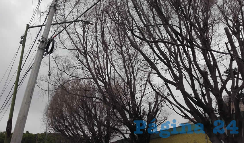 Serán las lluvias o la pésima instalación que hizo la empresa contratada por el ayuntamiento tapatío, pero muchas de las luminarias de última tecnología recién instaladas por la ciudad no funcionan como deberían, pues de día están prendidas y en la noche apagadas, tronaron habitantes de la ciudad/Foto: Francisco Andalón López