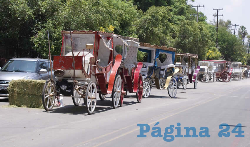 Chequeo general. El ayuntamiento tapatío montó en el Parque Agua Azul la auscultación de los caballos de las calandrias: hicieron revisión física, médica y psicológica; además, los vacunaron y desparasitaron/Fotos: Francisco Tapia