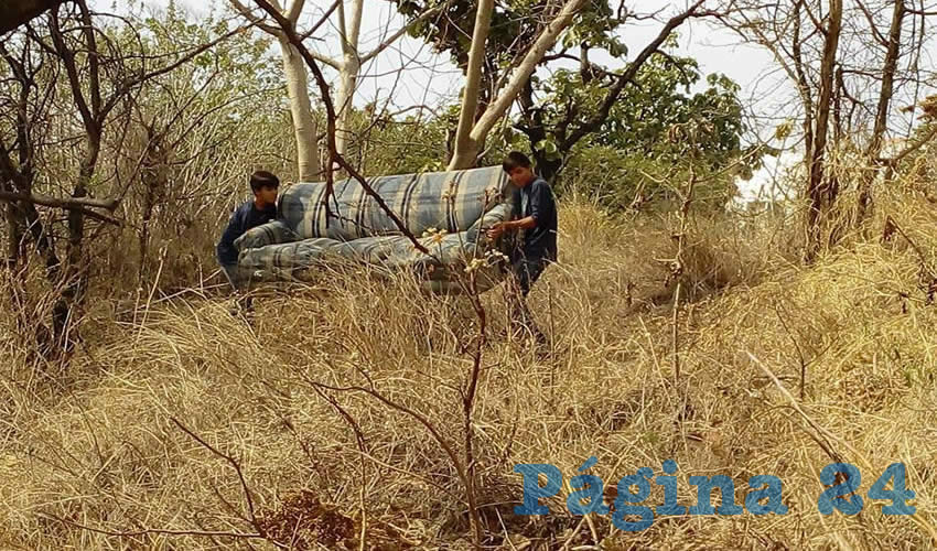 Desde hace dos meses se han denunciado las intenciones de empresarios para deforestar varias hectáreas del bosque Nixitucil y construir casas habitación, además de ampliar la avenida Prolongación Doctor Ángel Leaño, sin que el alcalde se preocupe por la situación/Foto: Cortesía
