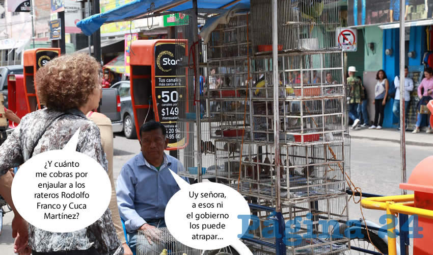 (Foto: Archivo/Pagina 24) 