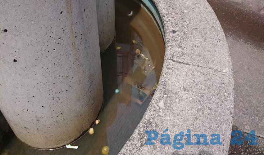 La imagen no miente, la fuente principal del andador peatonal Centenario, está convertida en inmundo muladar y recipiente de fétidas aguas
