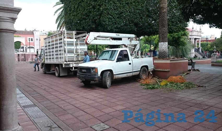 Trabajadores de Parques y Jardines Municipales, realizaron la &ldquo;joda&rdquo; de los &aacute;rboles en la plaza principal