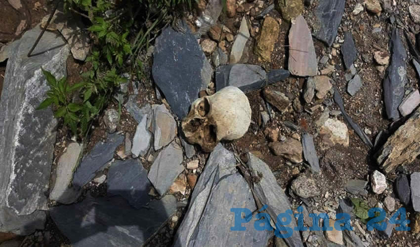 Así fue encontrado el cráneo, a un costado del arroyo Zamora, en Tepezalá