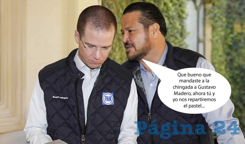 (Foto: Archivo/Pagina 24)