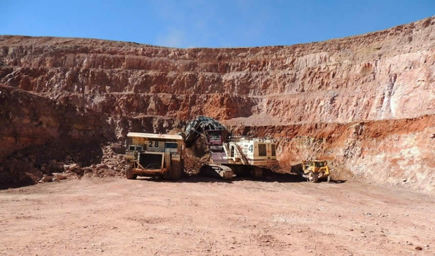 La minera se comprometió a realizar reforestaciones por más de un millón de pesos