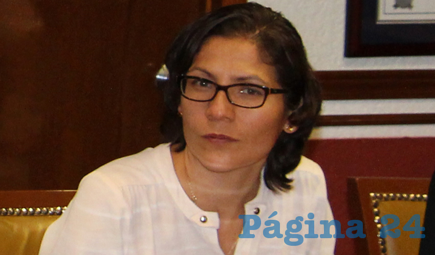 Claudia Tello, profesora investigadora del Centro Interdisciplinario de Estudios Metropolitanos (CentroMet)