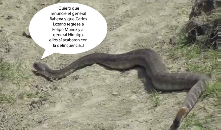 (Foto: Archivo/Pagina 24)