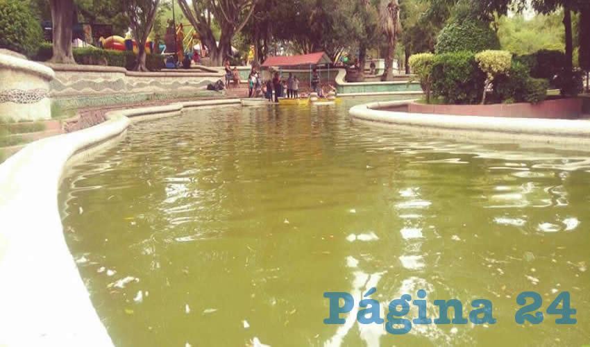 En p&eacute;simas condiciones se encuentra el Parque Hidalgo: hasta los patos se niegan a sumergirse en sus putrefactas aguas verdosas
