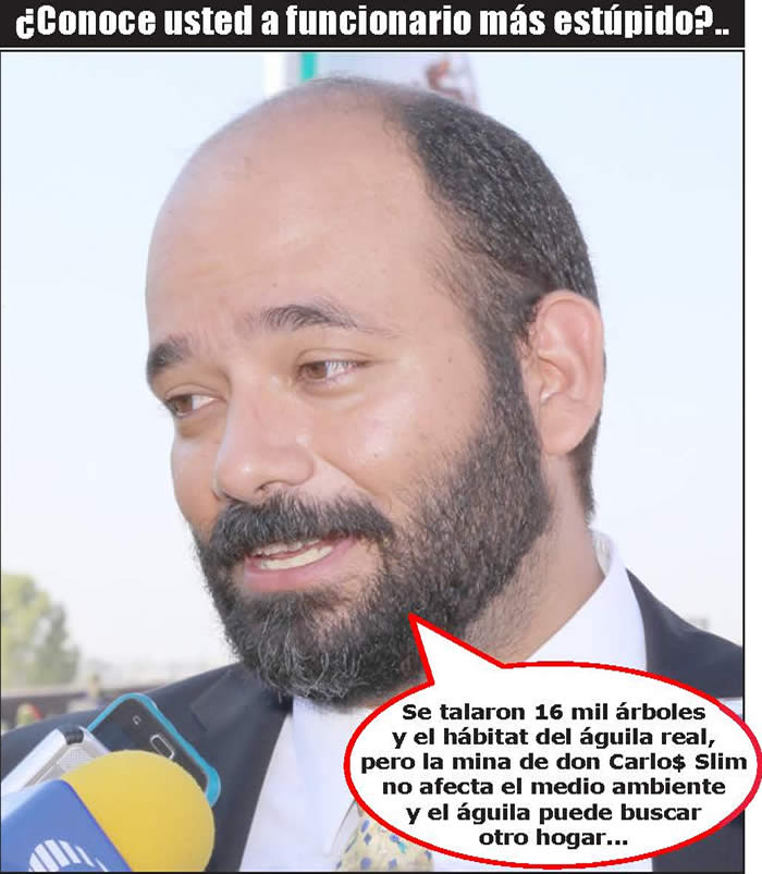 (Foto: Archivo/P&aacute;gina 24)