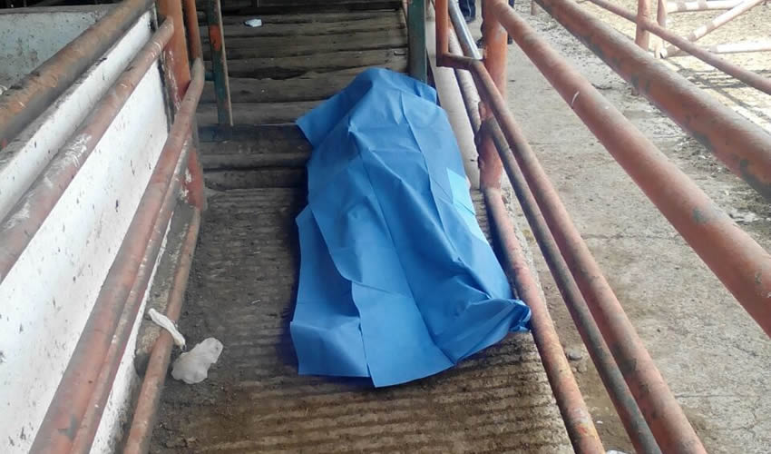Fulminante infarto acab&oacute; con la vida de Pedro L&oacute;pez &Aacute;lvarez