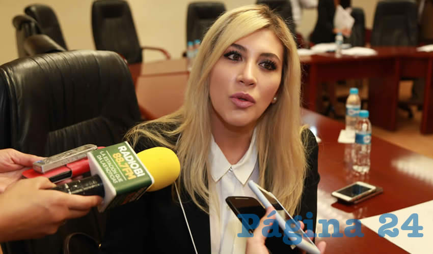Norma Adela Guel Sald&iacute;var, legisladora local (Foto: Eddylberto Lu&eacute;vano Santill&aacute;n)