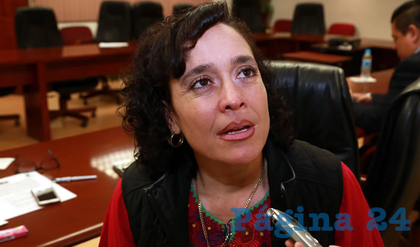 Mar&iacute;a de los &Aacute;ngeles Aguilera Ram&iacute;rez, legisladora local (Foto: Eddylberto Lu&eacute;vano Santill&aacute;n)