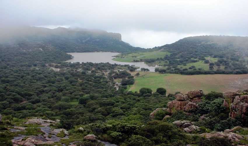 Con la declaratoria de la Sierra del Laurel, se establece y consolida un importante corredor biol&oacute;gico junto con las &Aacute;NP&acute;s, Sierra Fr&iacute;a y Cerro del Muerto