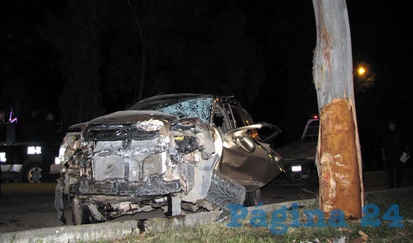 La camioneta se estrelló contra un poste y un árbol
