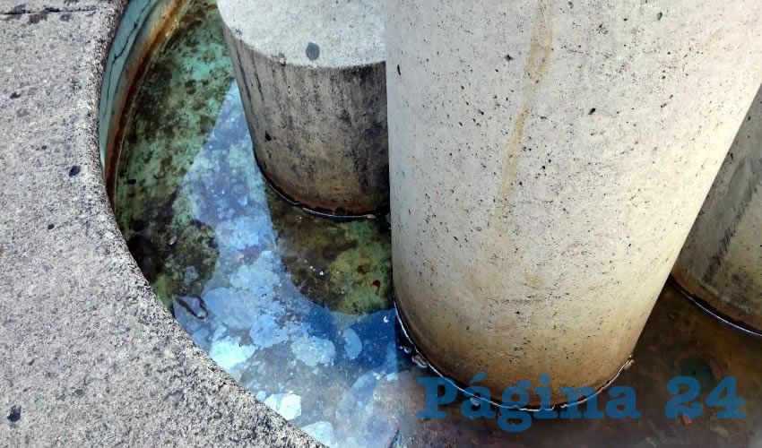 Fuentes p&uacute;blicas podr&iacute;an anidar al mosquito trasmisor del zika