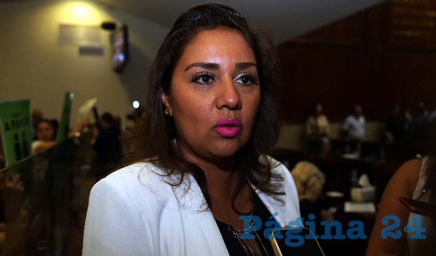 Sylvia Garfias Cedillo, diputada local