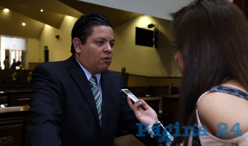 Mario Alberto &Aacute;lvarez Michaus, diputado local