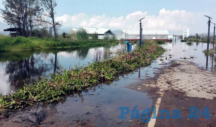 Aunque se invirtieron millones de pesos para crear la escuela de Remo y Canotaje del CODE ubicada en la laguna de Zapotlán, el malecón construido para el lugar está inundado, así como buena parte de las vías terrestres para llegar ahí/Fotos: Rafael Hernández Guízar