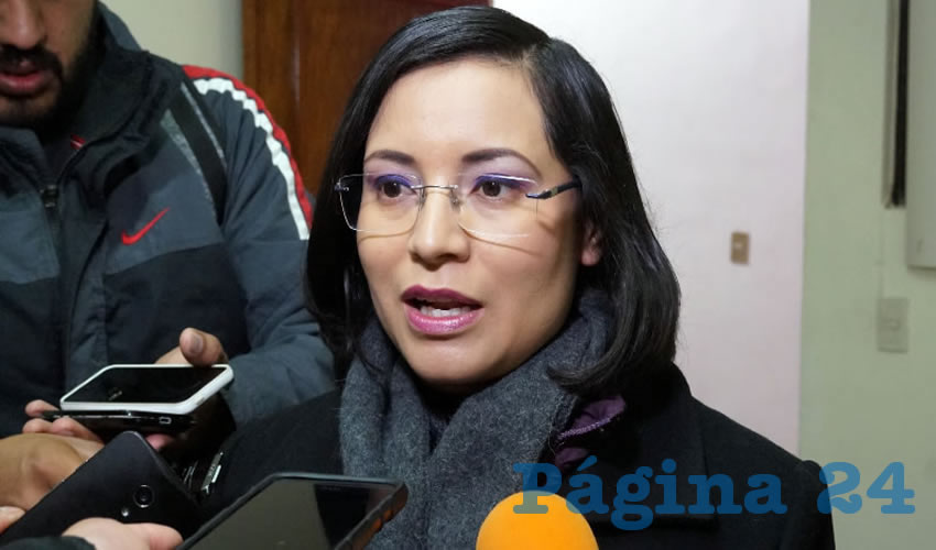 María de la Luz Domínguez Campos: “Se tiene una queja de un ciudadano que recibió un disparo de un elemento policiaco, primero aplicando el uso excesivo de la fuerza y abuso de poder para llegar al disparo” (Foto: Merari Martínez Castro