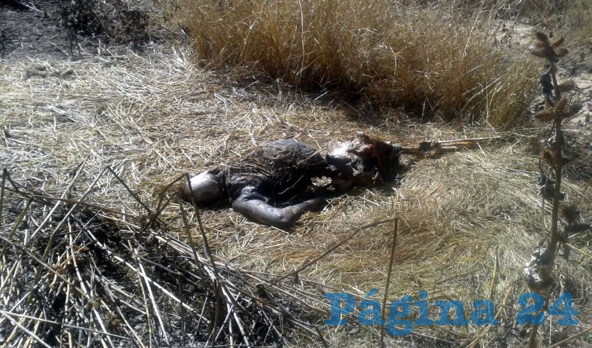 Casi los puros huesos fueron localizados en un predio de San Francisco de los Romo