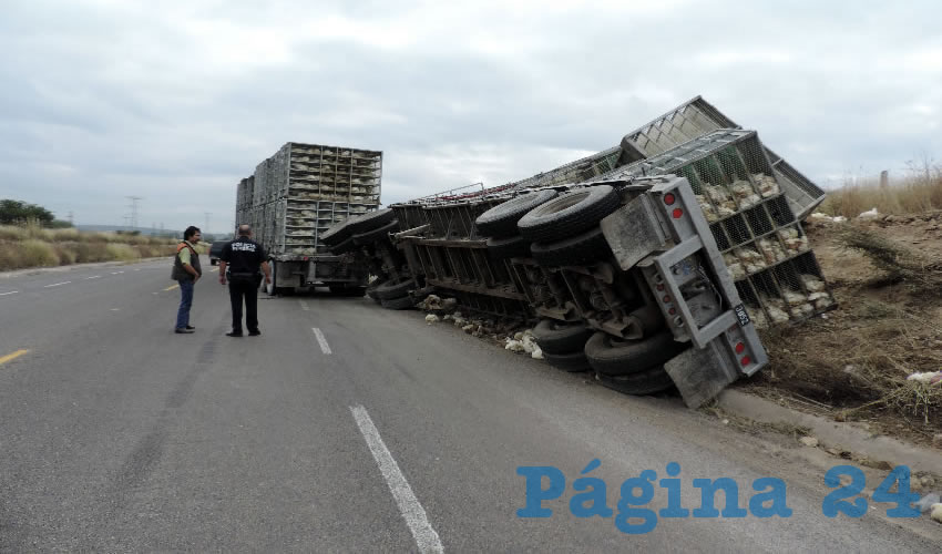 Decenas de pollos murieron aplastados
