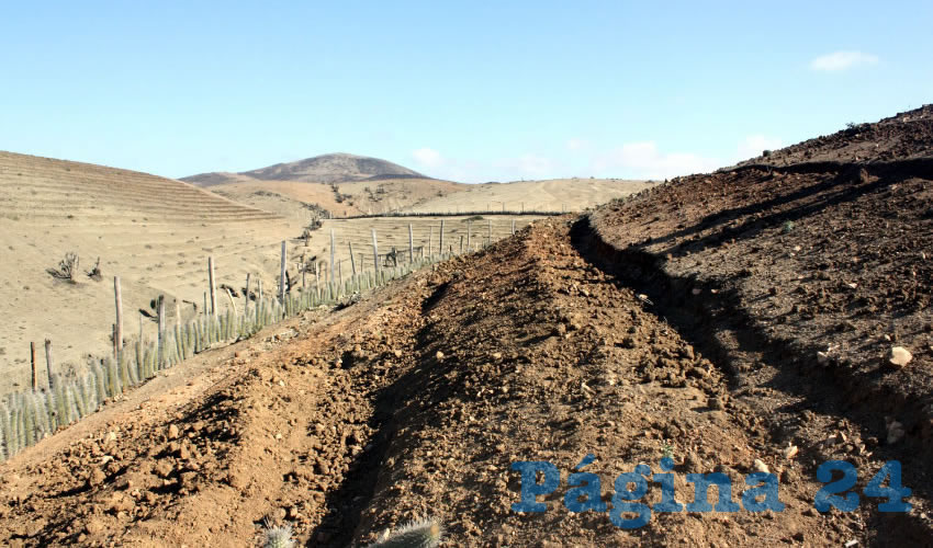 En grandes extensiones de campo del país se requieren acciones que permitan aumentar, conservar y fortalecer la calidad de los suelos, sobre todo en regiones donde se practica una agricultura intensiva y un esquema de pastoreo de ganado mayor/Foto: Cortesía 