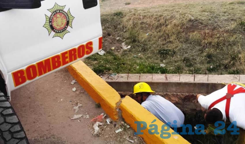 Labores de limpieza ante derrame de combustible y aceite