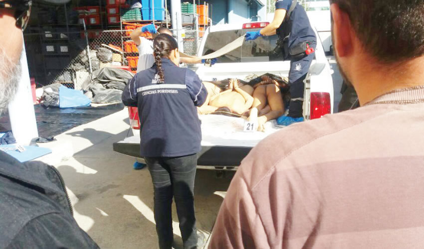 Los cadáveres eran transportados en la caja de una camioneta Ram; los 10 sujetos fueron capturados por elementos de la Fuerza de Reacción Inmediata Mixta, en los límites de El Salto y Tlaquepaque/Fotos: Especial