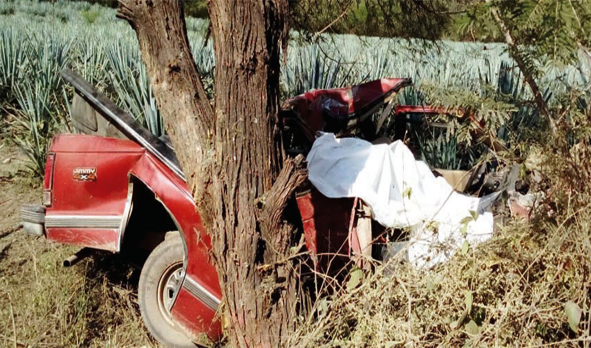 Las víctimas, de entre 13 y 16 años de edad, son dos varones y dos mujeres; fallecieron al instante tras el encontronazo/Foto: Especial
