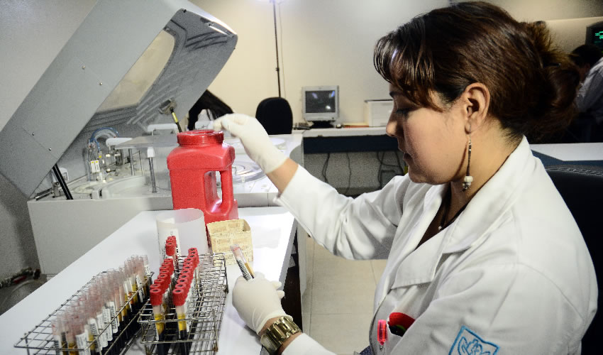 Reunió a 192 científicos, registró 142 trabajos a concurso y premió a los autores de los 18 mejores protocolos de investigación