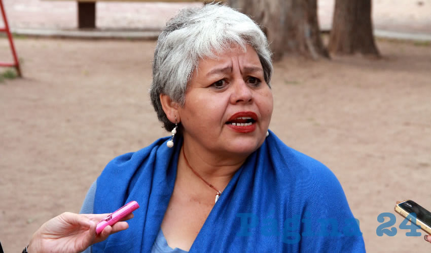 Guadalupe Castorena Esparza, presidenta de la asociación Movimiento Ambiental